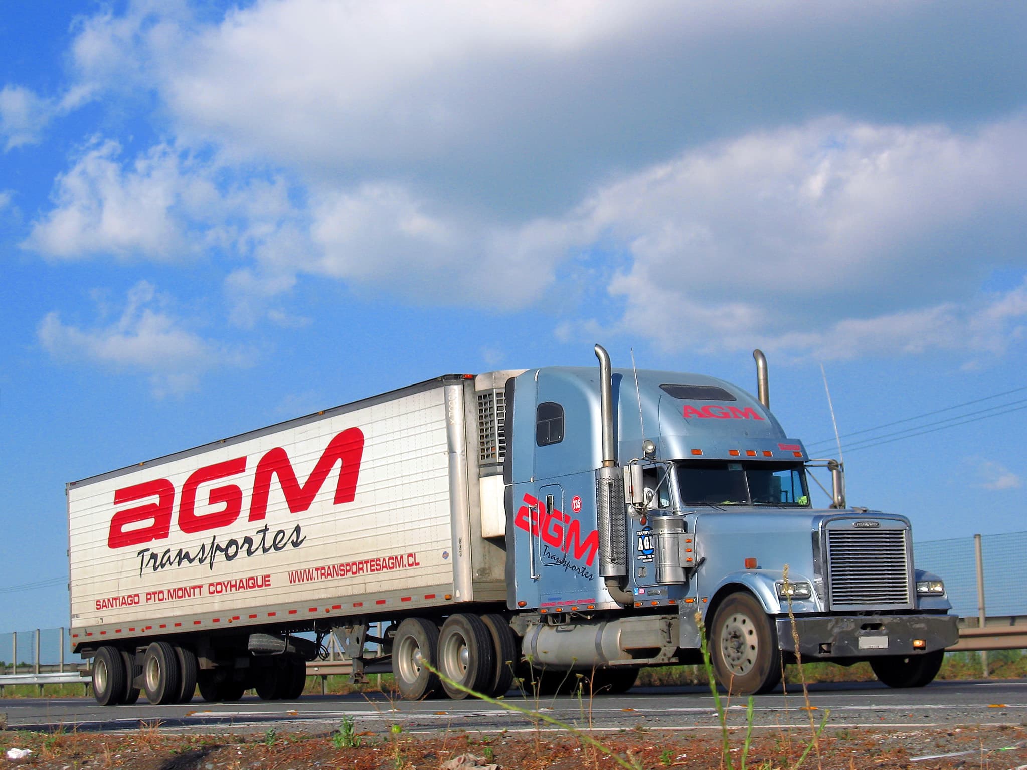 1999 Freightliner FLD 132 Classic XL